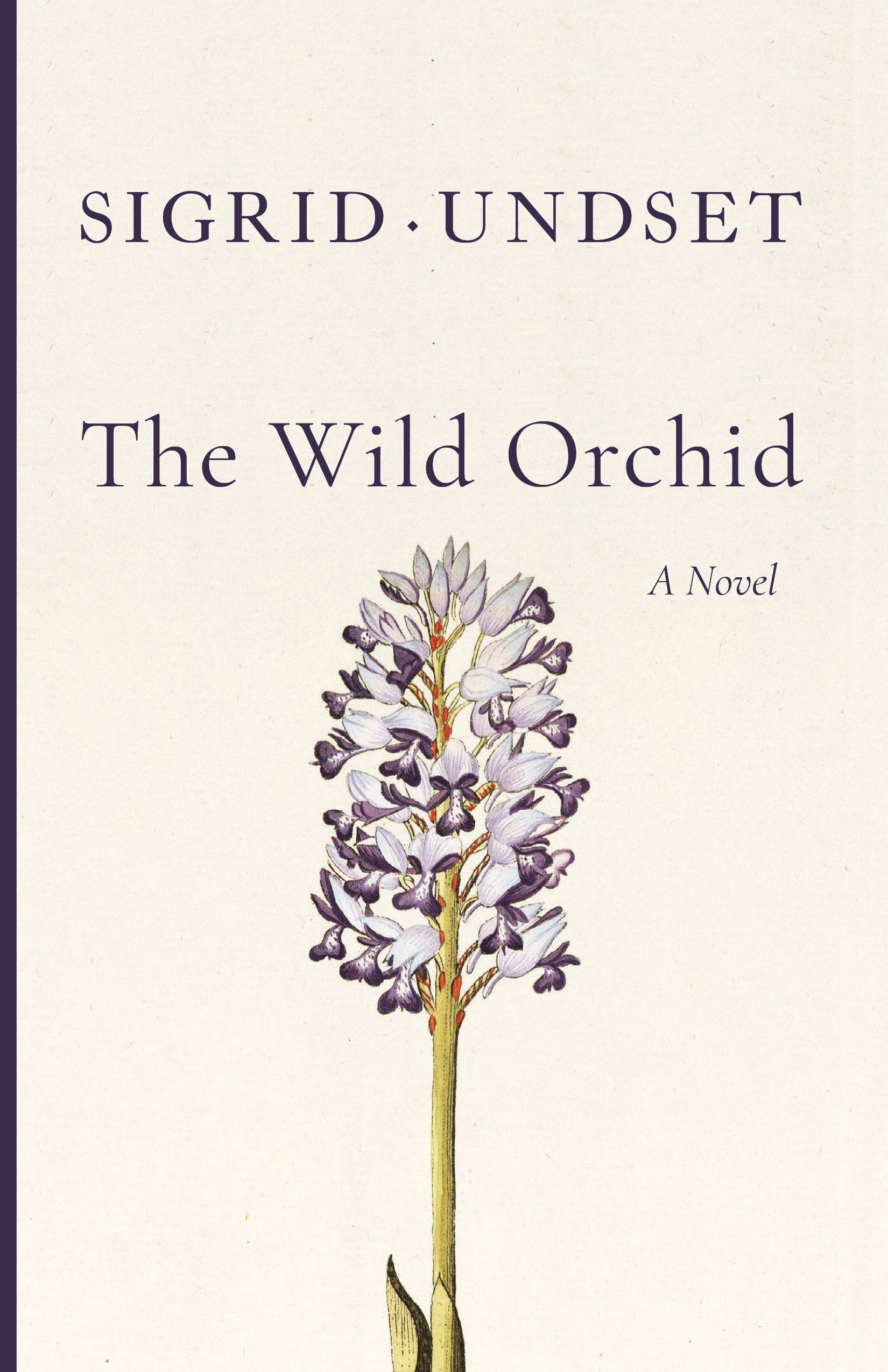 The Wild Orchid – Cluny Media