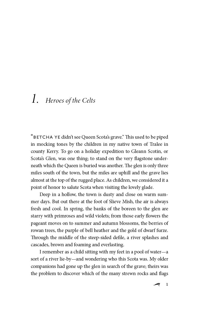 The Irish Story