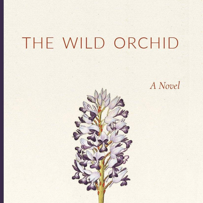 The Wild Orchid - ClunyMedia