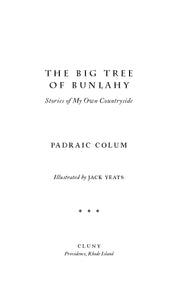 The Big Tree of Bunlahy