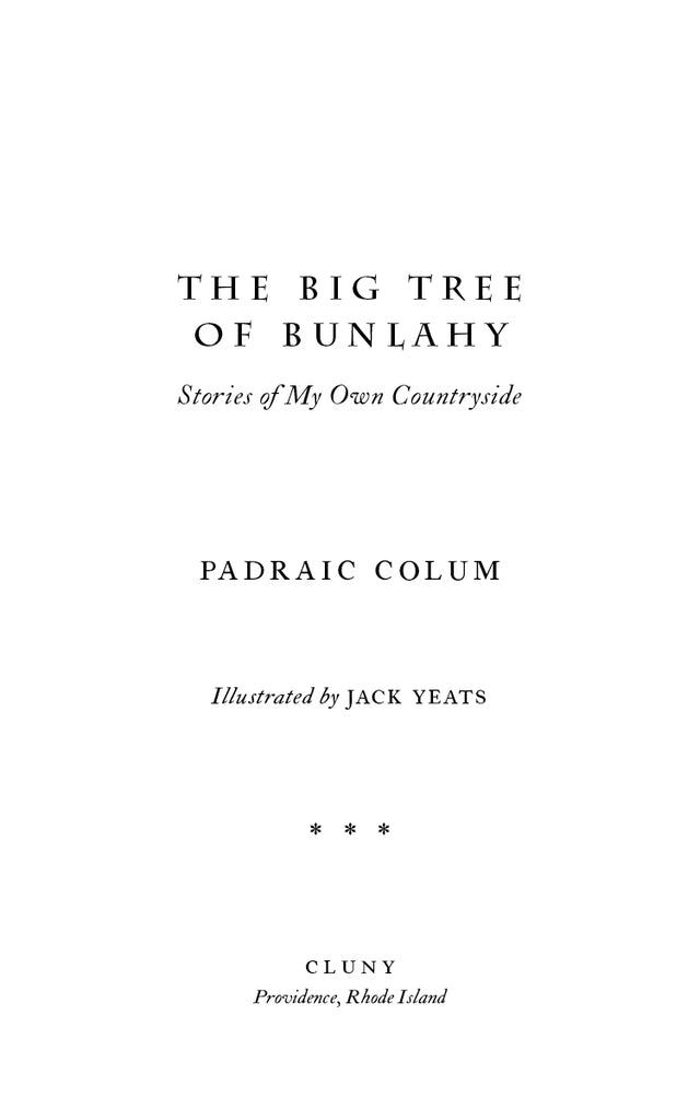 The Big Tree of Bunlahy